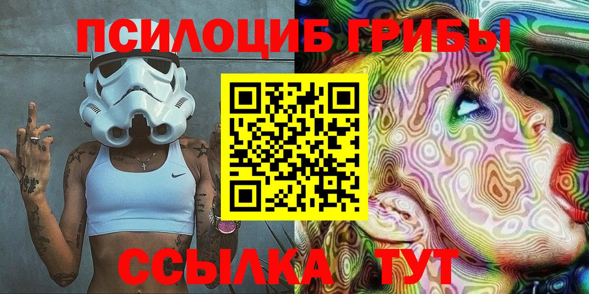 Псилоцибиновые грибы Psilocybine cubensis Абакан